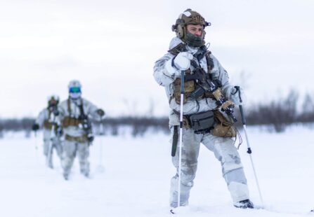 Svezia e Finlandia nella NATO? La Russia ammassa truppe lungo i confini nordici