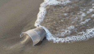 Bicchiere di plastica nel mare