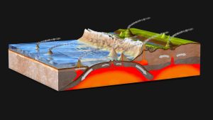 Illustrazione in 3D dei fenomeni tettonici _Depositphotos)