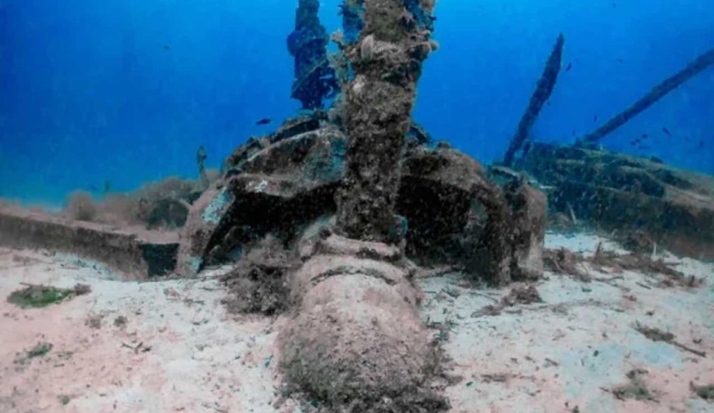 Relitti nel fondale marino