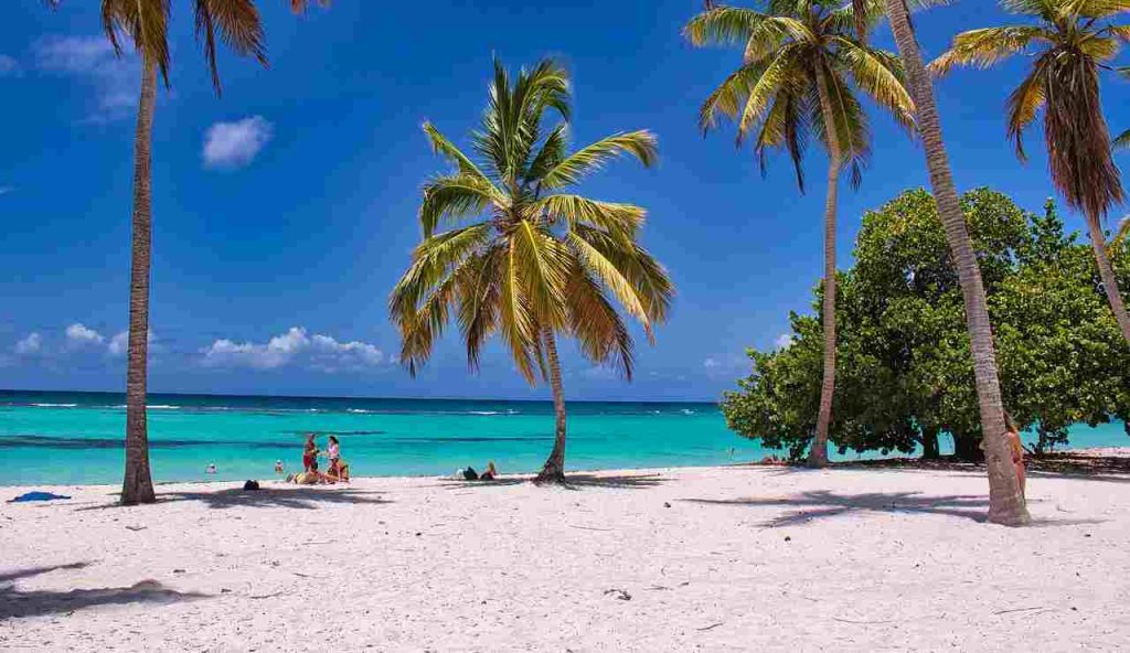 Spiaggia paradisiaca con palme