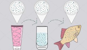 Illustrazione del ciclo delle microplastiche (Depositphotos)