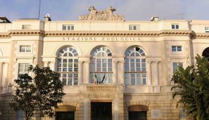 Stazione Zoologica di Napoli