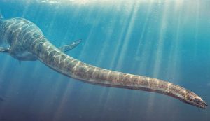 Immagine di un Plesiosauro