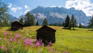 Dolomiti